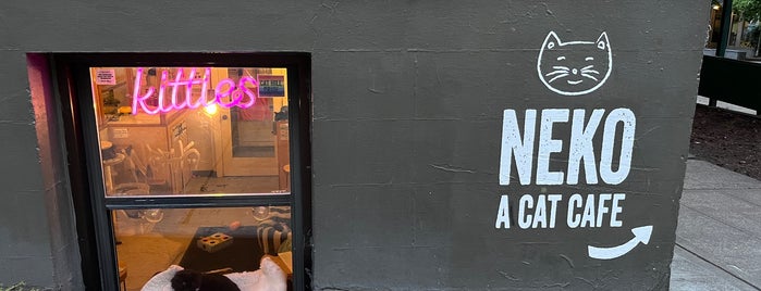Neko - A Cat Cafe is one of Women-Owned Restaurants in Seattle.