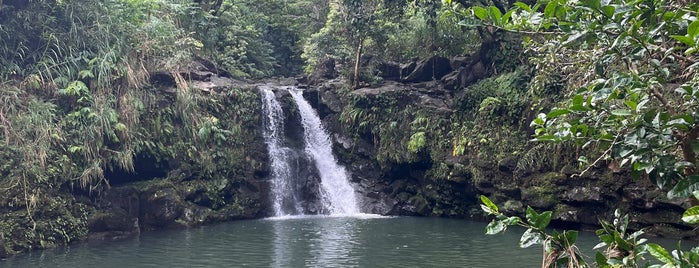 Haipua'ena Falls is one of Hawaii.