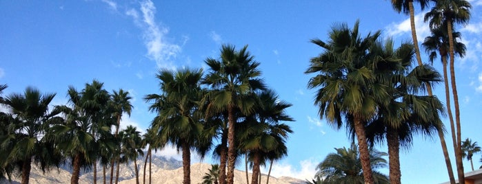 The Saguaro Palm Springs is one of Palm Springs with Cyn.