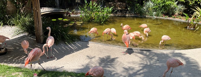 Sunken Gardens is one of Florida to-do list.