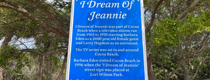 I Dream of Jeannie Lane is one of Cocoa Beach.