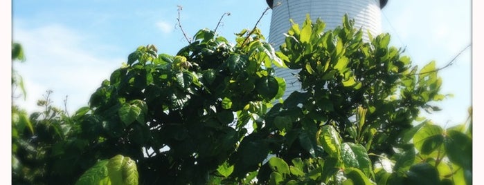 Cape Poge Lighthouse is one of Martha's Vineyard.