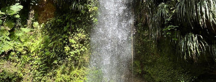 Toraille Waterfall is one of Saint Lucia.