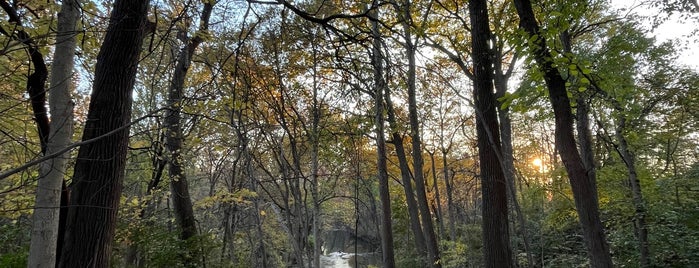 Swan Creek Preserve Metropark is one of The 15 Best Places with Plenty of Outdoor Seating in Toledo.