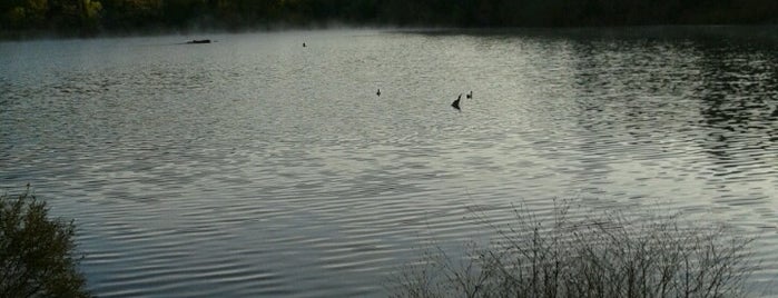 Howarth Park/Spring Lake Trail is one of To Do: Great Outdoors.