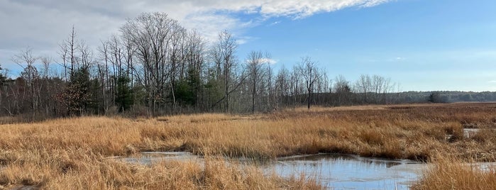 Scarborough Marsh is one of Summer 18.