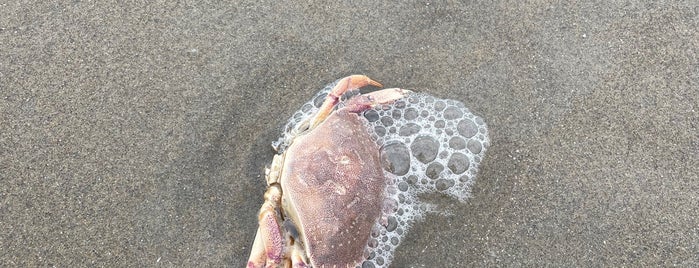 Beaches near home