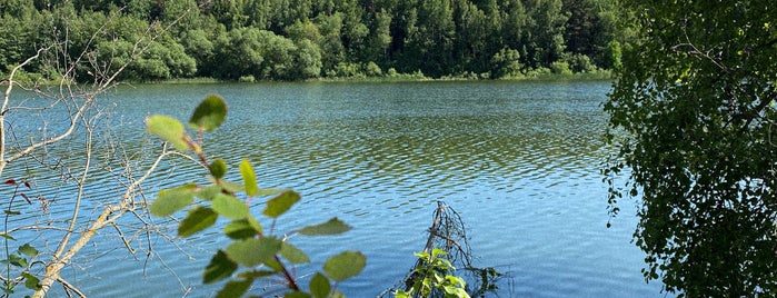 Дубровское водохранилище is one of Беларусь 🇧🇾 (вся).