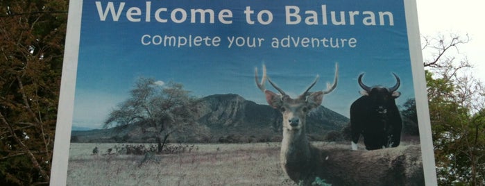 Taman Nasional Baluran (Baluran National Park) is one of Top 10 - Visit Situbondo.