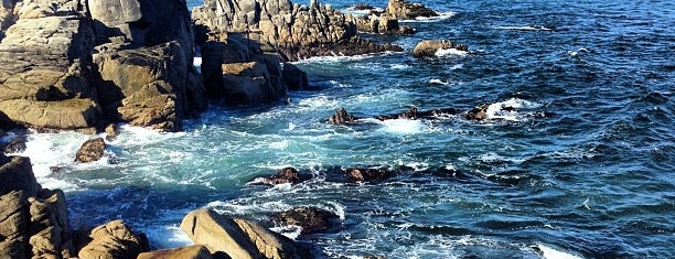 Lovers Point Park & Beach is one of Monterey — the goods.