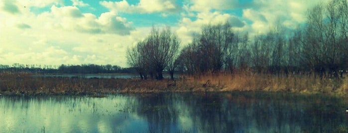 Bourgoyen-Ossemeersen is one of Favourite spots in Ghent.