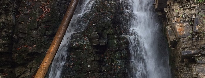 Бухтівецький Водопад is one of Mikhail'in Beğendiği Mekanlar.