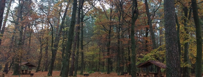 Майдан - Відпочинковий Комплекс is one of Lviv. Nature.