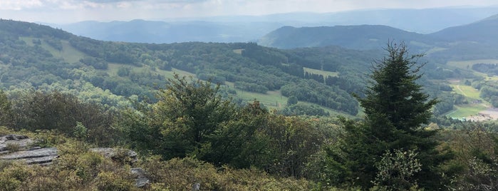 Canaan Valley Resort State Park is one of Trips Home.