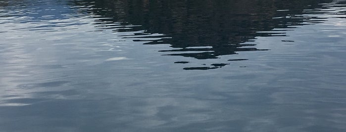 Diver's Delight - Güneş Dalış Okulu is one of Fatmagül : понравившиеся места.