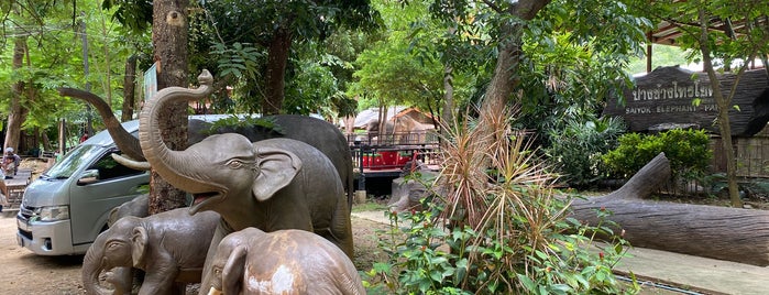 Saiyok Elephant Park is one of ห้องแสดงผลงานเกียรติยศ.