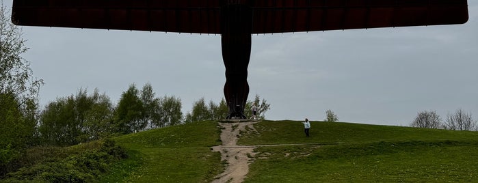 Angel of the North is one of Robbie 🐶.