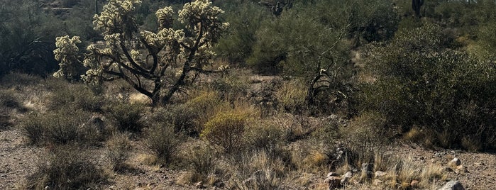 Usery Mountain Regional Park is one of Arizona.
