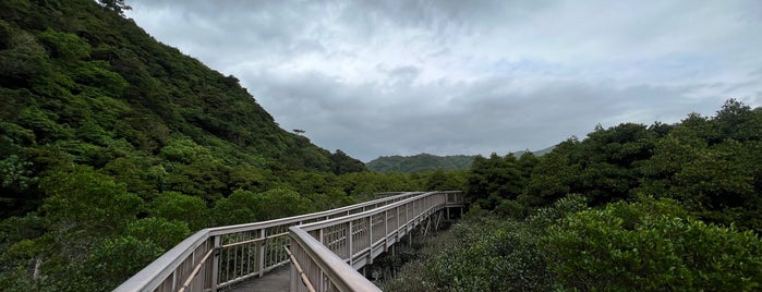 わんさか大浦パーク is one of in Okinawa.