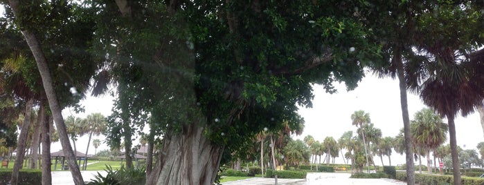 Ocean Blvd (A1A) & Beachland Ave is one of Posti che sono piaciuti a Doug.