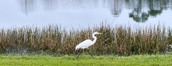 Eagle Nest Park is one of Orlando Outdoor.