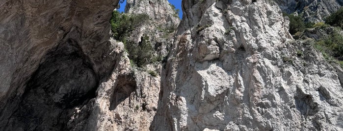 Isla de Capri is one of passeggiando per la campania.