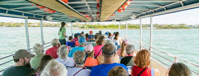 Sarasota Bay Explorers is one of Family Friendly - Florida Fun Spots.