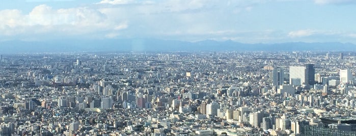 Tokyo Metropolitan Government Building is one of สถานที่ที่ Joshua ถูกใจ.