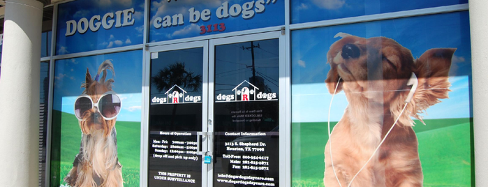 Dogs R Dogs Daycare And Spa is one of Daycare Options.
