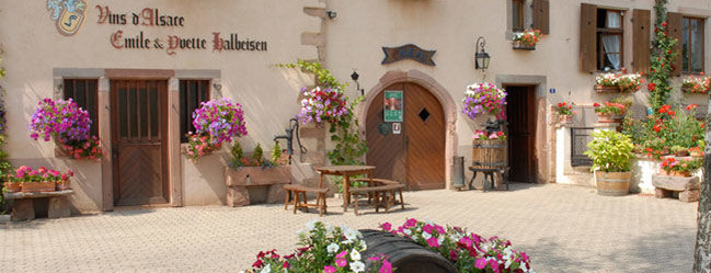 Vitisbar is one of Alsace.