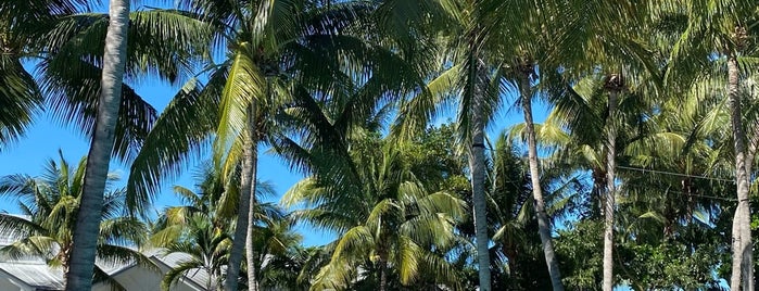 Havana Cabana at Key West is one of Gespeicherte Orte von Stephanie.