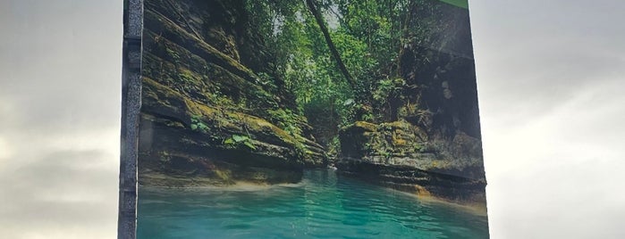 Damajagua Waterfalls is one of Dominican Republic.
