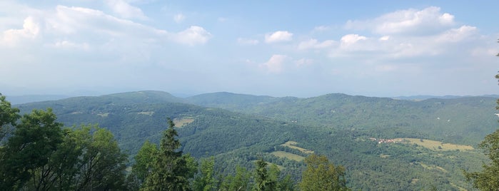 Sveta Gora is one of Tempat yang Disimpan Saraja.