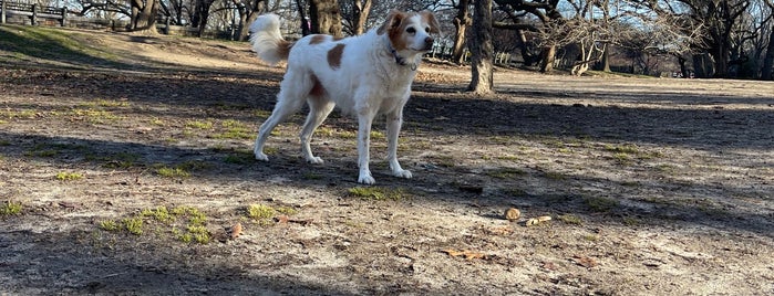 Riverside Park - Cherry Walk is one of Personal NY.