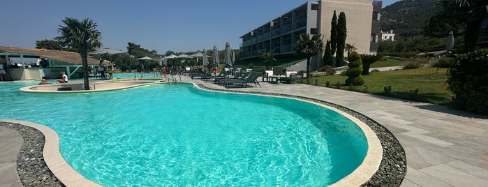 SENTIDO THASOS IMPERIAL is one of THASS.
