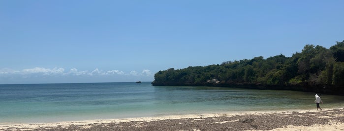 Bongoyo Island is one of Tanzanite.
