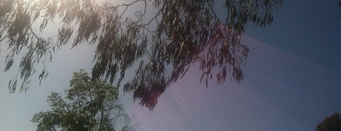 Table Under The Tree is one of My Favorite Places.