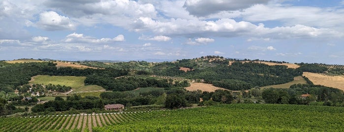 Cantine Zanchi is one of Le Cantine dell'Umbria.