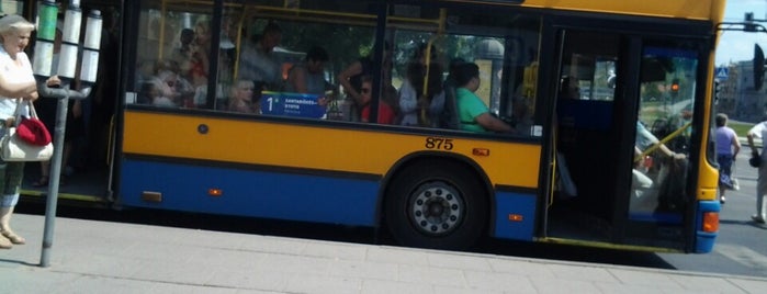 1G (greitasis autobusas) is one of Autobusai Vilniuje.