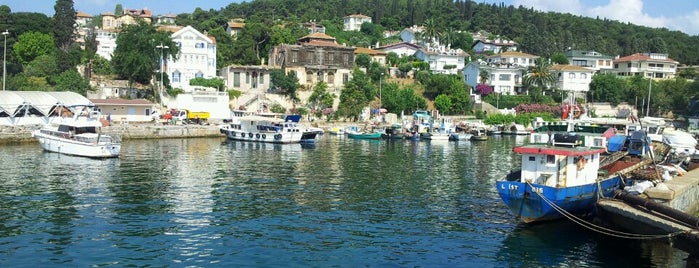 Heybeliada Liman is one of Lieux qui ont plu à Özdemir.