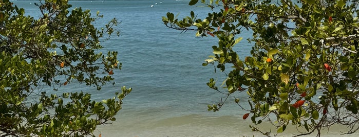 Island Park is one of Florida Gulf Coast.