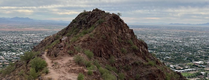 Cholla Trail is one of Outdoors.