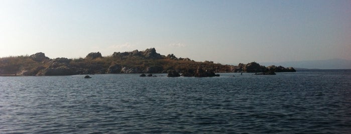 Tas Ada is one of Diving Points around Ayvalik.