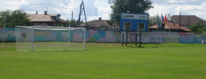 Стадион «Ока» is one of Стадионы команд III дивизиона.