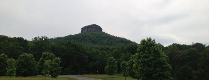 Pilot Mountain State Park is one of City Stream.