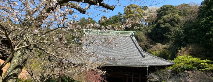 妙本寺 is one of にゃんこスポット.