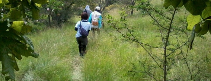 Trail of Loh Kima is one of Komodo National Park.