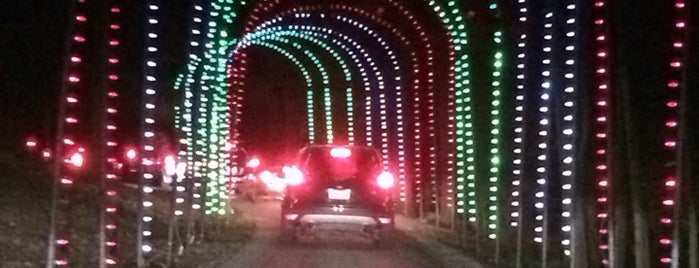 Oglebay Winter Festival Of Lights is one of 1000 Places to See Before You Die - South.