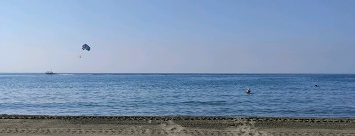 Mediterranean Beach is one of Кипр.