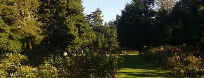 Golden Gate Park is one of San Francisco Favorites.